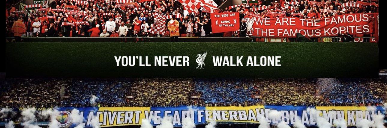 barknn81's profile banner image