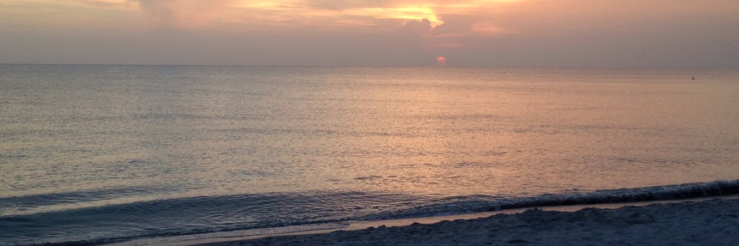 terabree's profile banner image