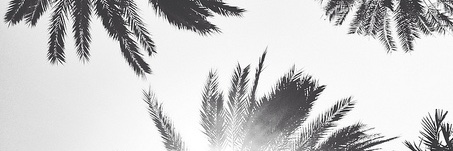 astrdcamps's profile banner image