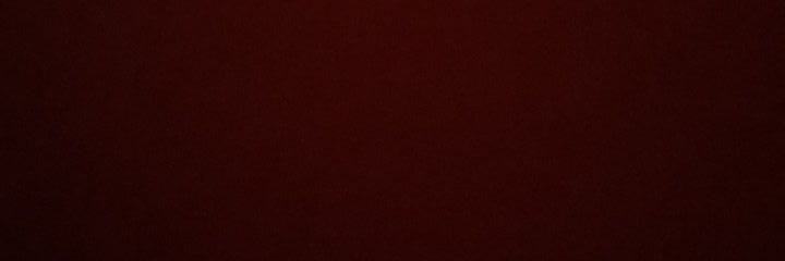 spider12's profile banner image