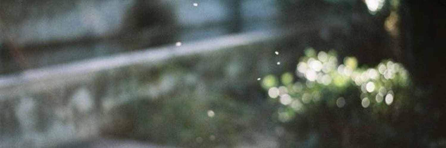 mylizsy's profile banner image