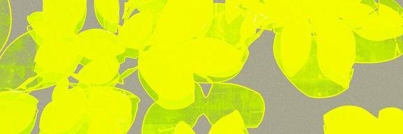 Sarah__Albrecht's profile banner image