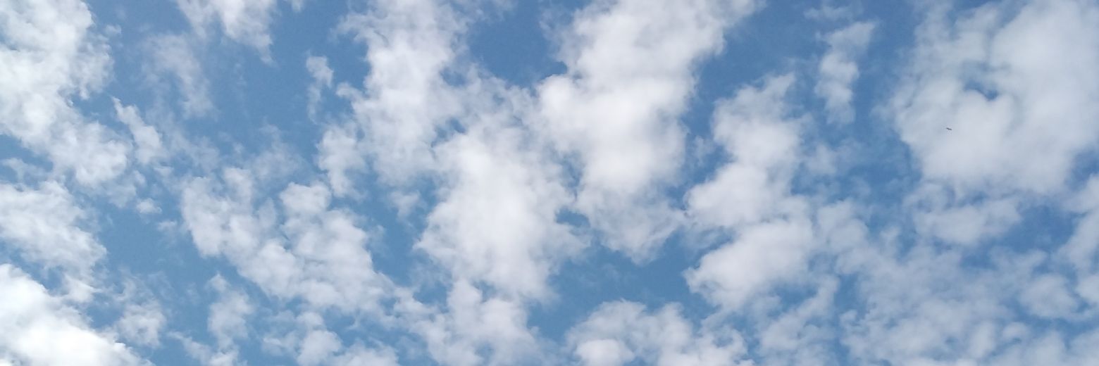 caerinasp's profile banner image
