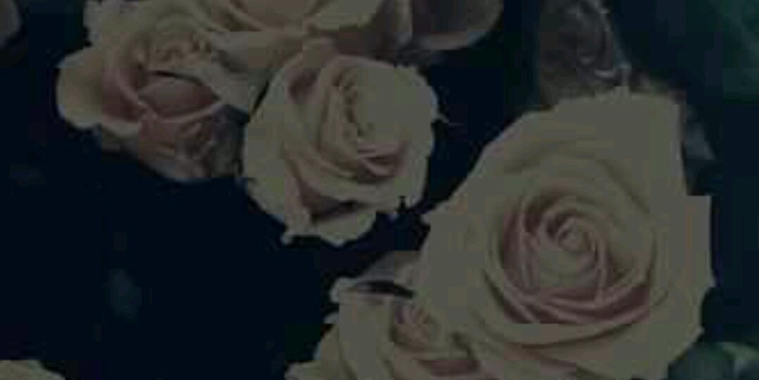 __madelineee's profile banner image