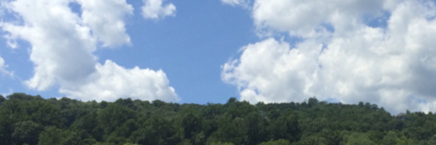 E__MvG's profile banner image