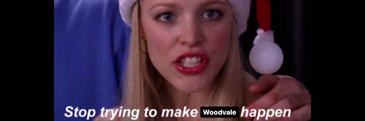 Amelia Ritter Seaman banner