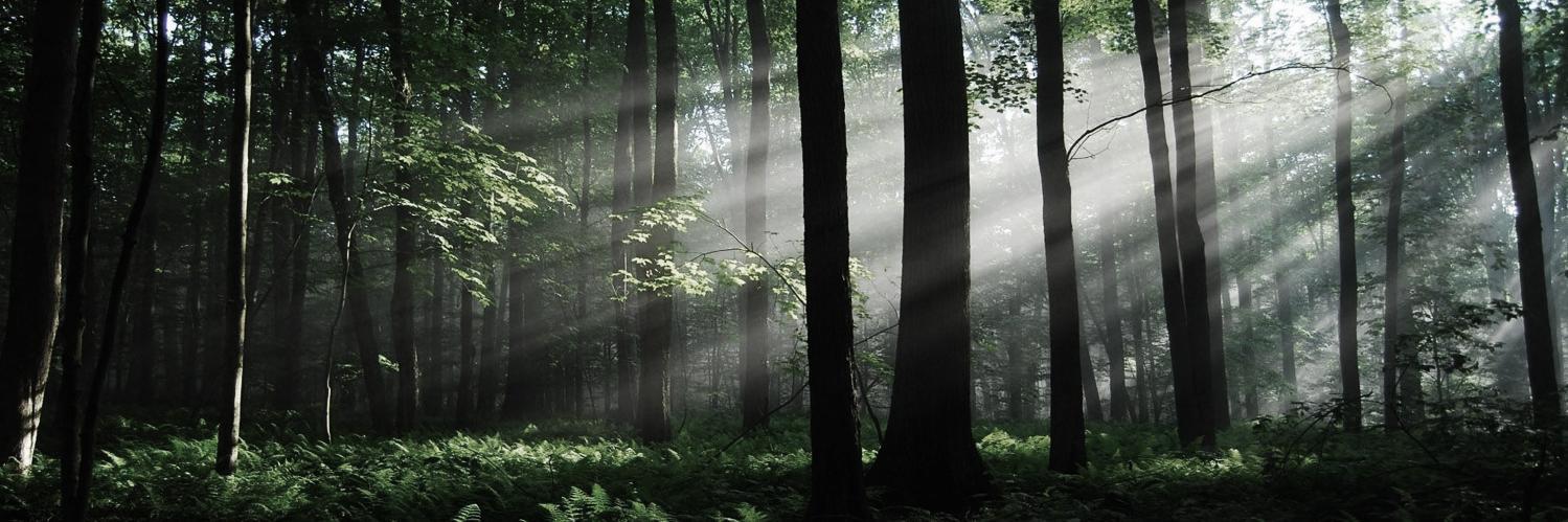 OneNOnlyJigsaw banner