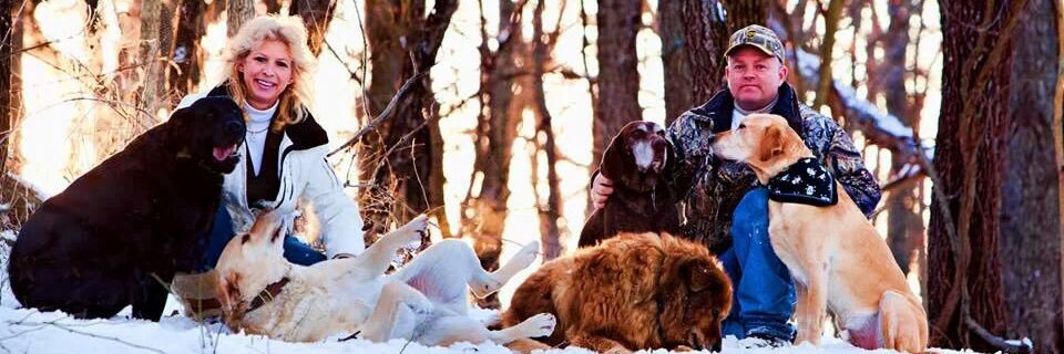 abigailadele's profile banner image