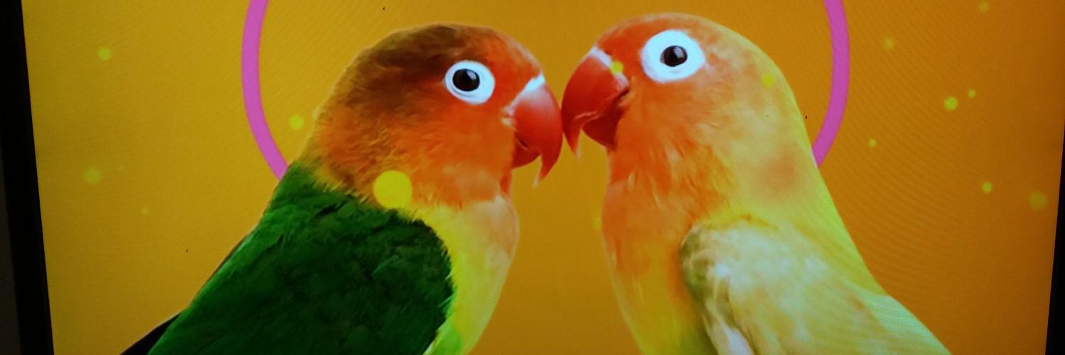 DanQumo's profile banner image