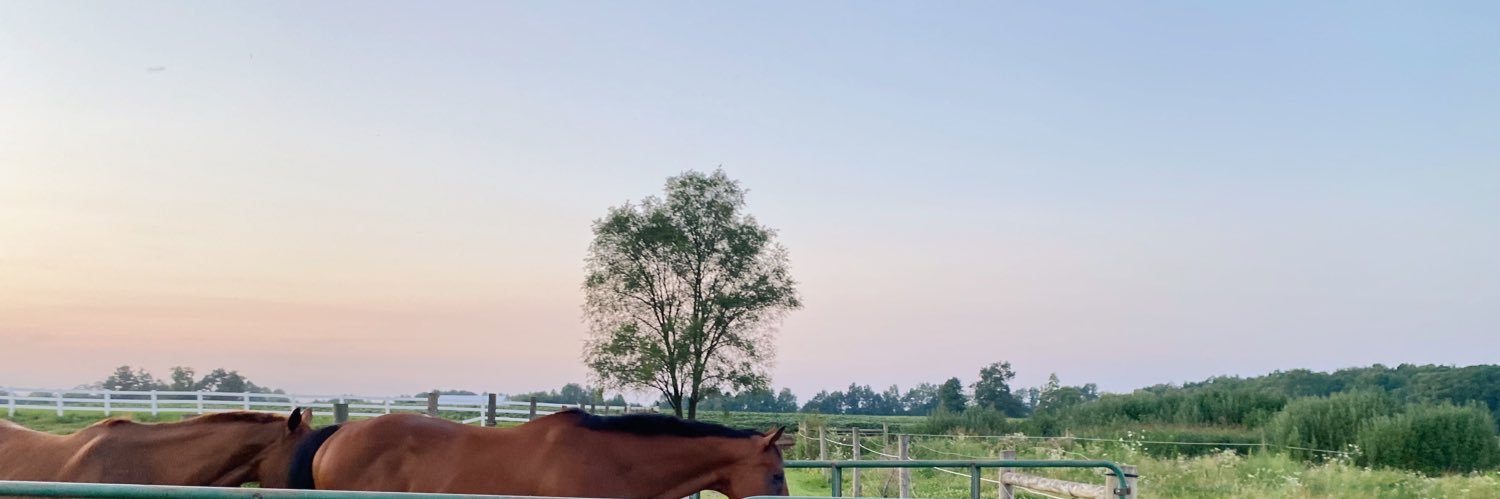 maddigrahammm's profile banner image