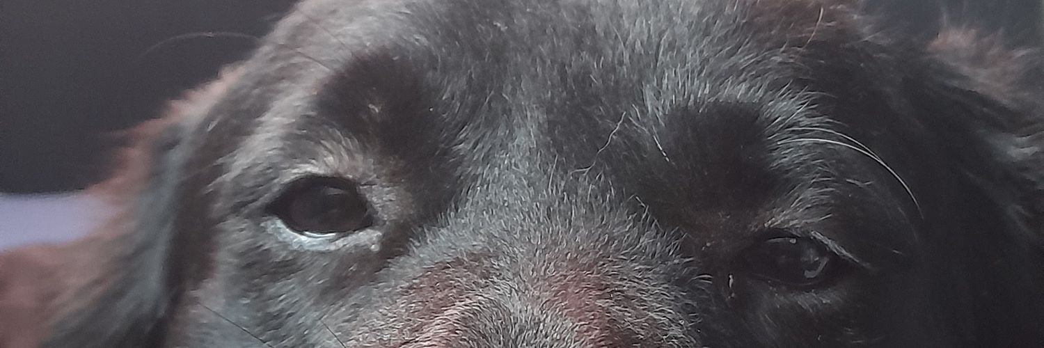 17_supernova's profile banner image