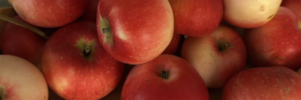 janeeedouglas Profile Banner