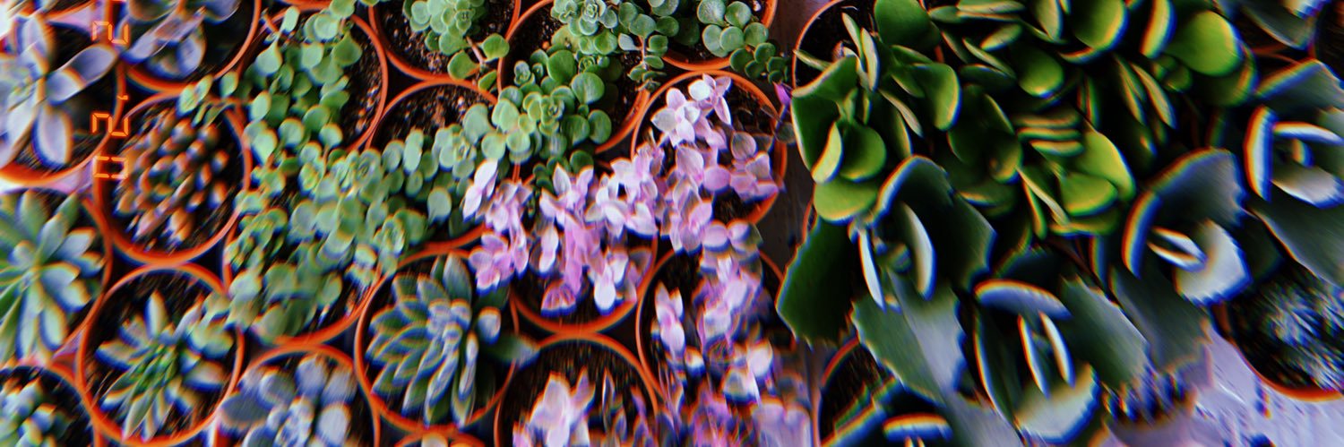 شريفوددين banner