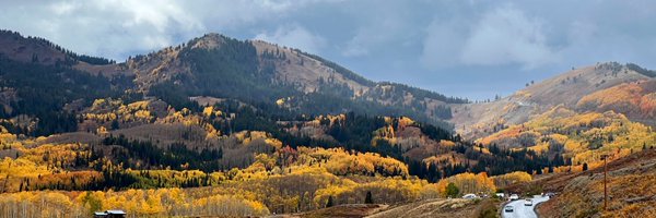 tiffanee_dawn Profile Banner