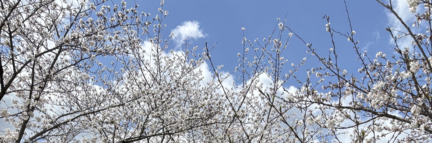 Tomomaru0621's profile banner image