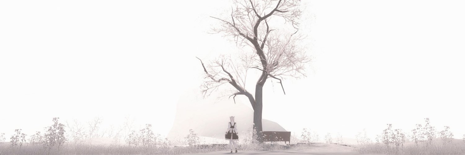 きゃん banner