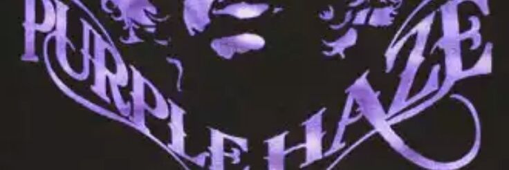 Real_PurpleHaze's profile banner image