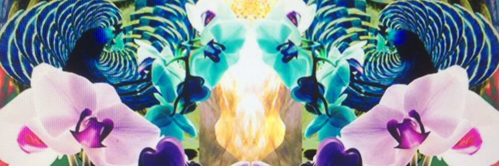 CeTinkoff's profile banner image