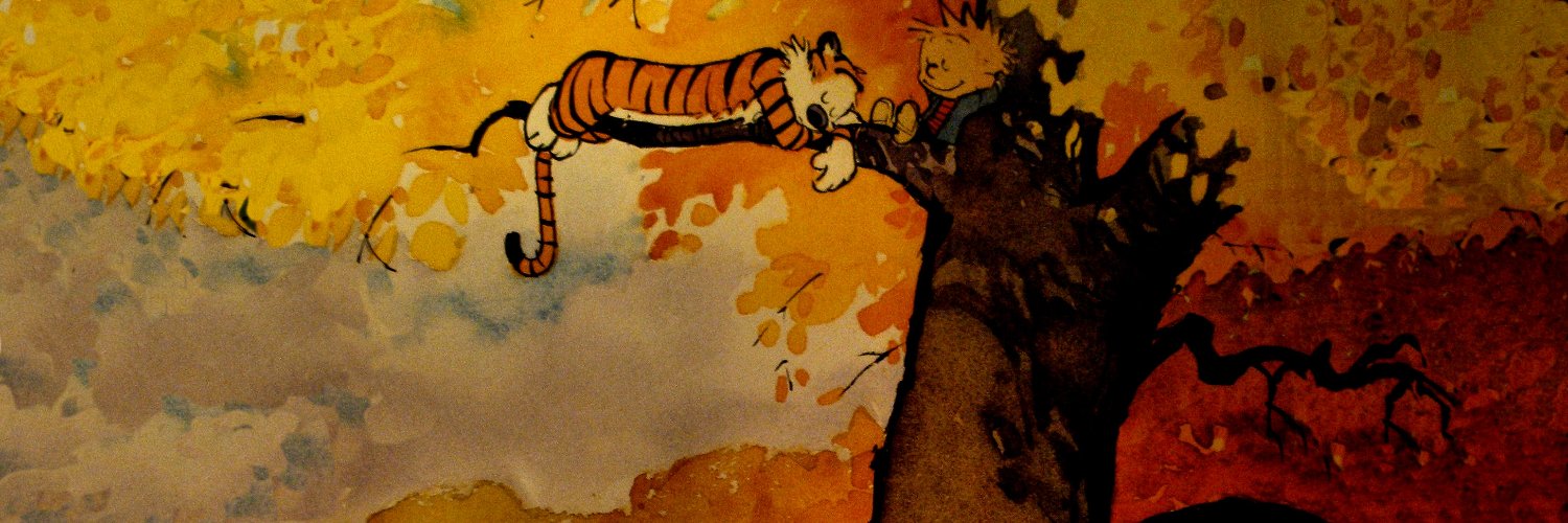 Squizzolo's profile banner image