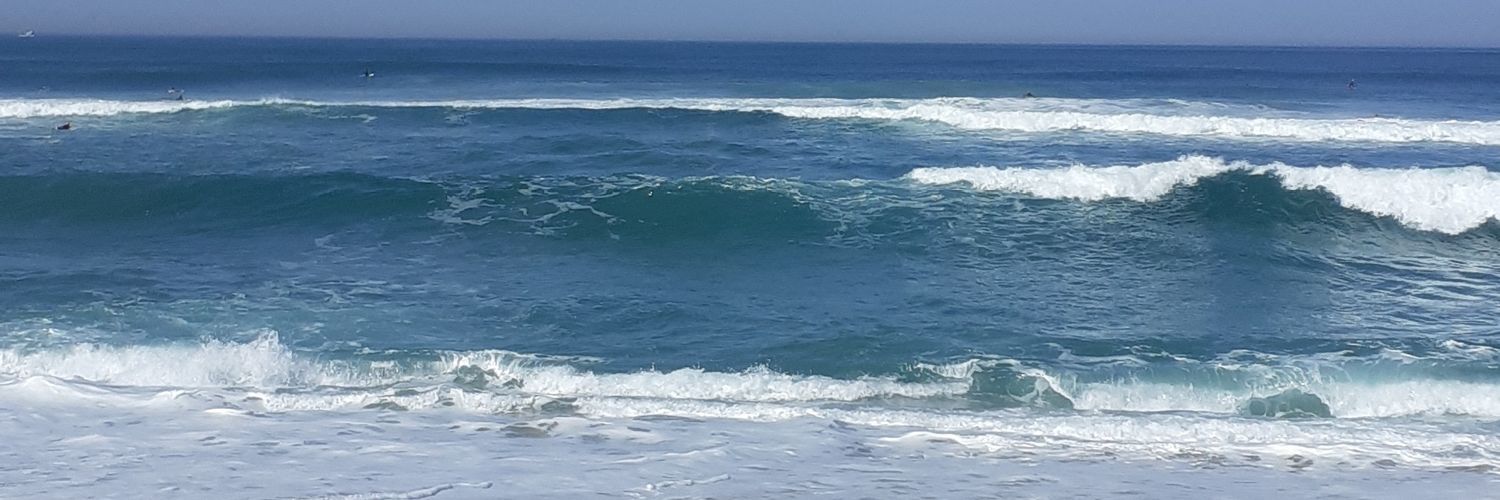 fdnraposo's profile banner image