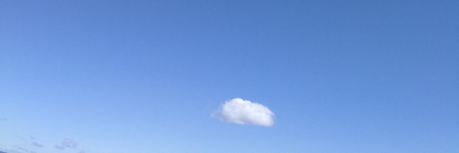 lunamoothoo's profile banner image