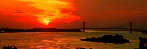 yaniclar's profile banner image