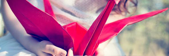 communeco's profile banner image