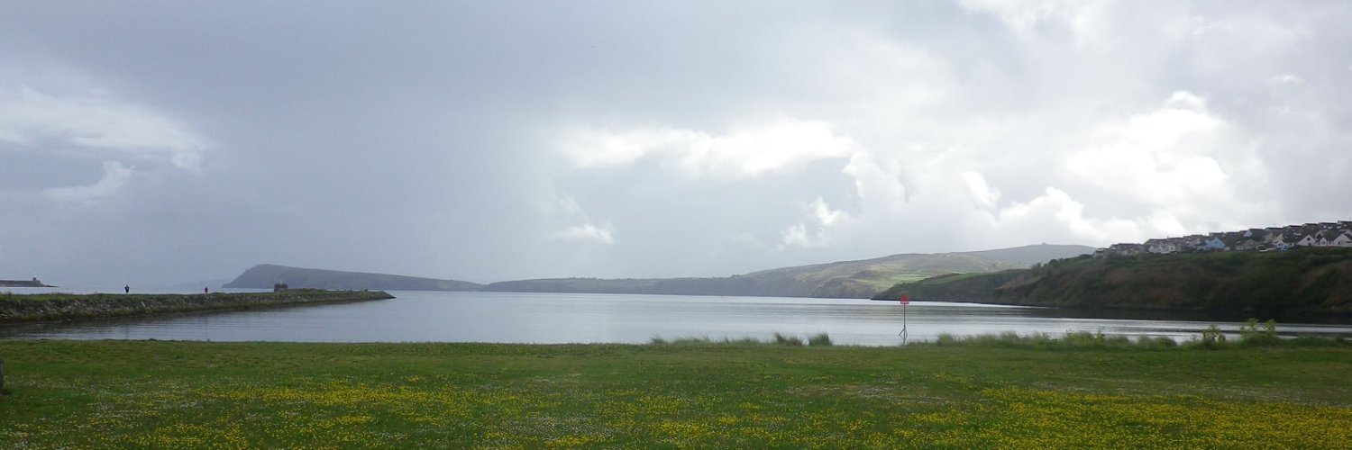 Melly Welly banner