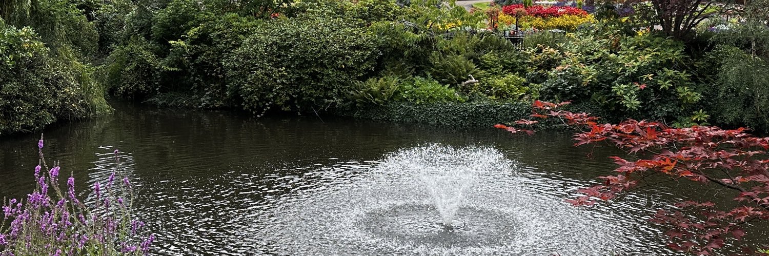 Mr MWP 🏳️‍🌈 🎙️🔍 banner