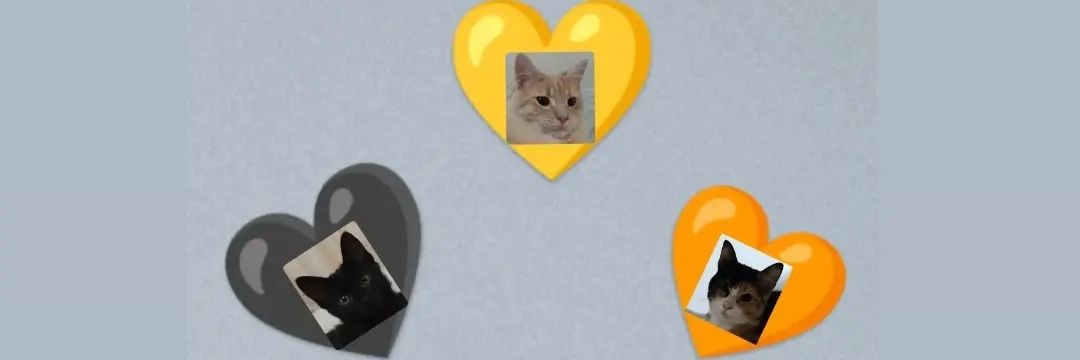 Lucilatarifa's profile banner image