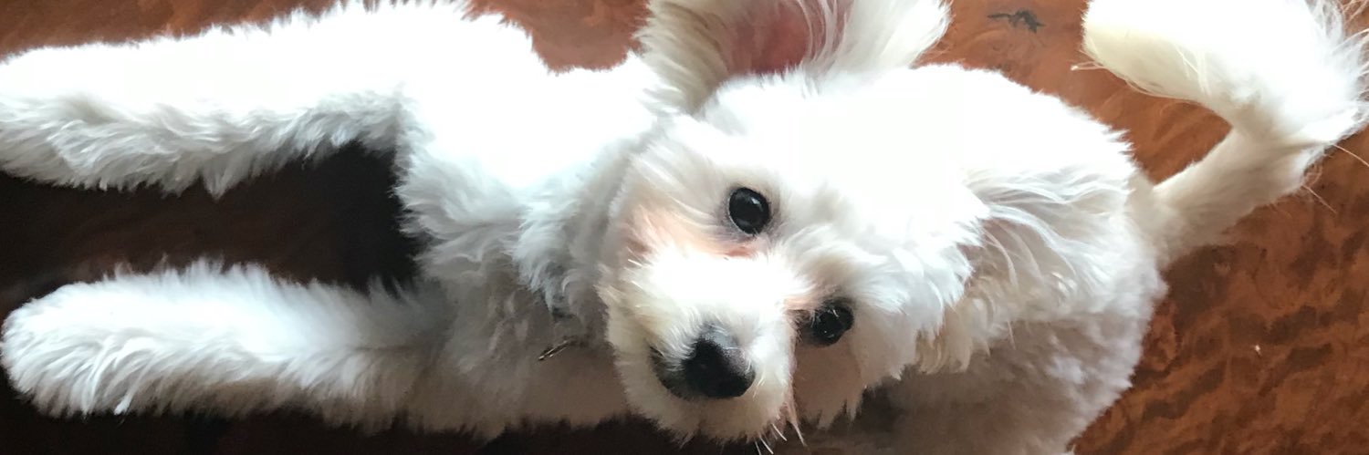 kymnrhr's profile banner image