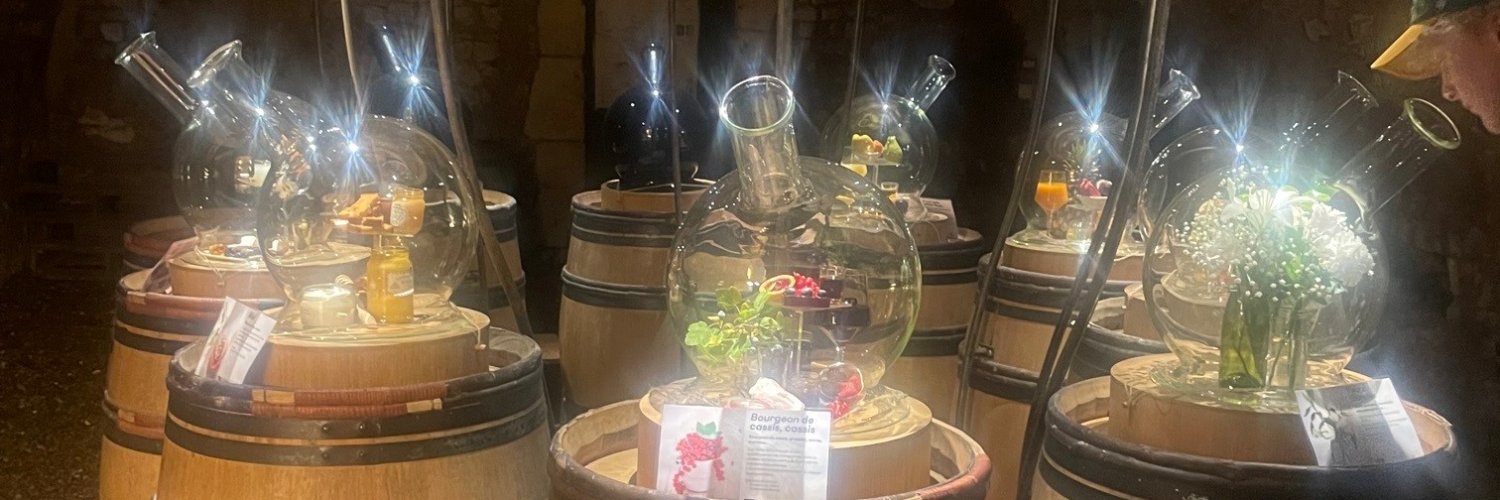 Dr Pippa Bailey banner