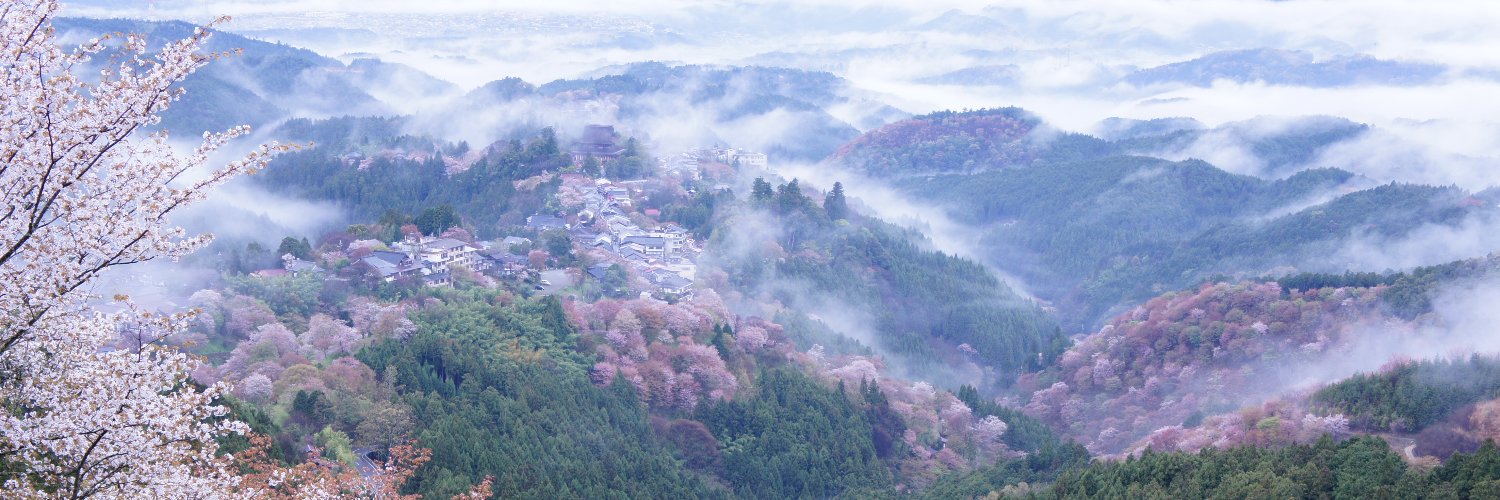 imaodoikiru's profile banner image