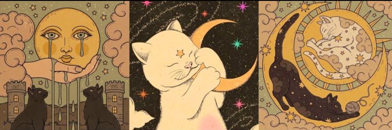 pashhrina's profile banner image