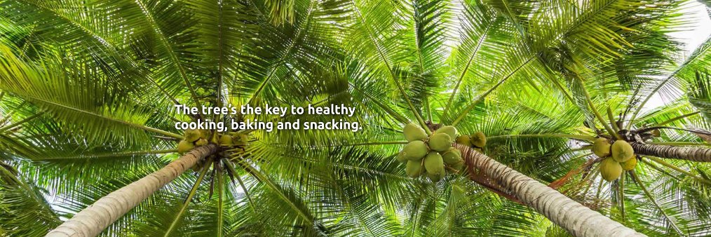 Coconut Secret banner