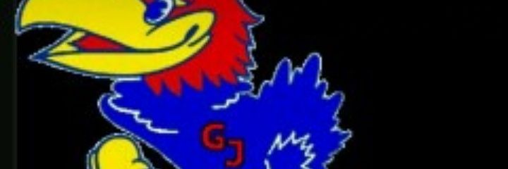 BraveJayhawk513's profile banner image