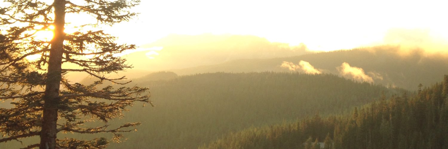MeetchStamos's profile banner image