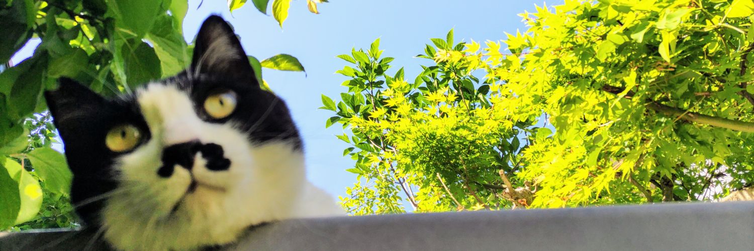 1308mori's profile banner image