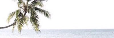Bdoor200000's profile banner image