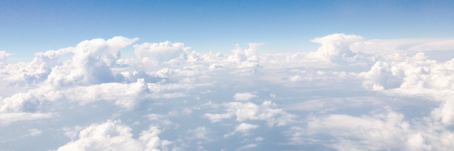 wmansini's profile banner image