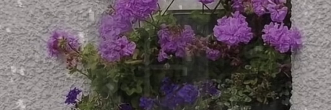 شادن 🤍💜 banner