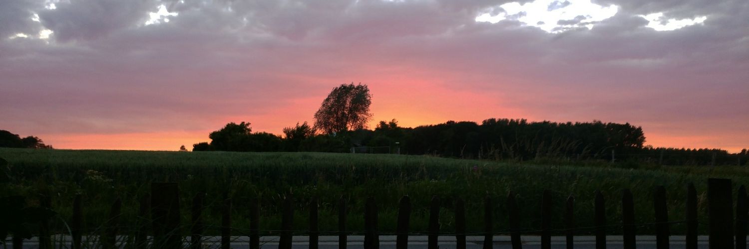 officialhansell's profile banner image