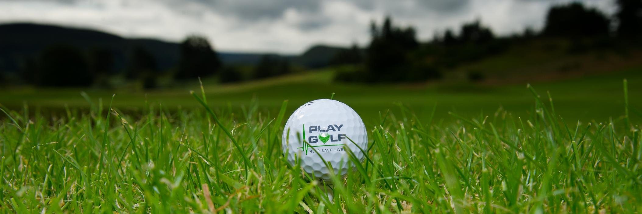 PlayGolf4Defibs's profile banner image