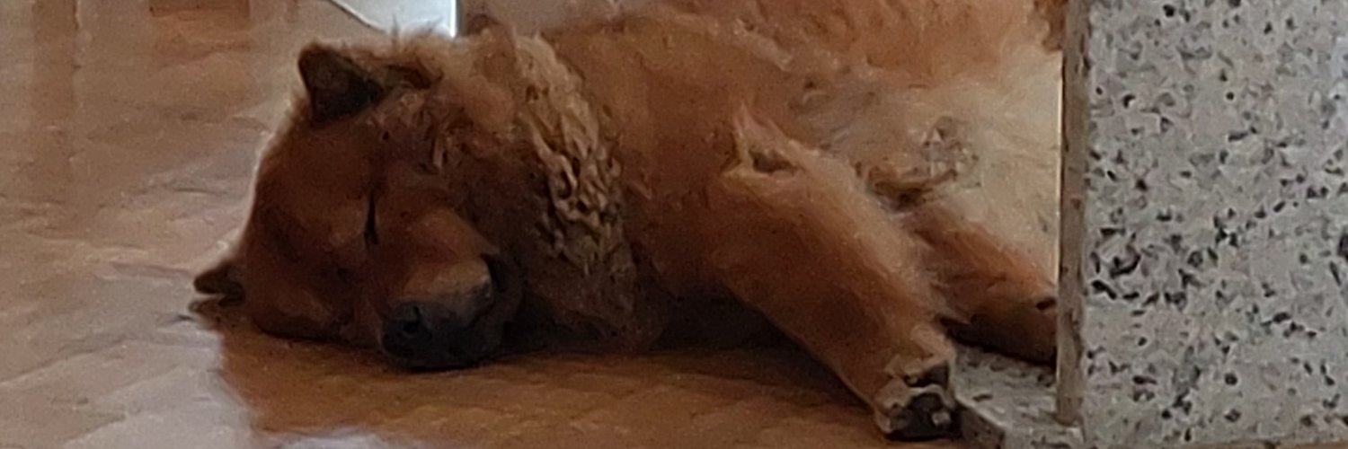 andradenathally's profile banner image