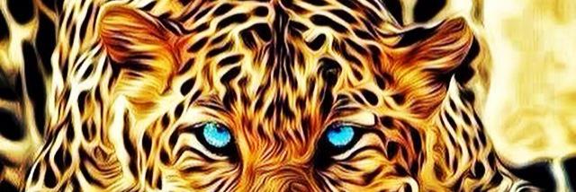 _monaalisav's profile banner image