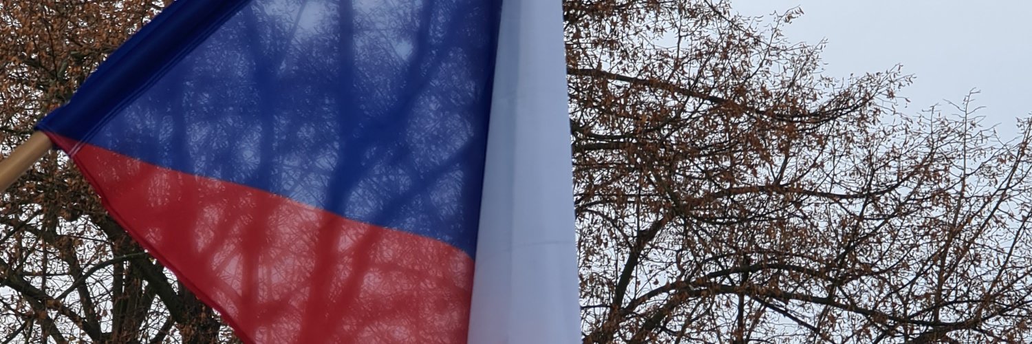 mistostarosta's profile banner image