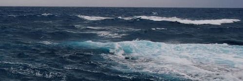 جـنى. banner