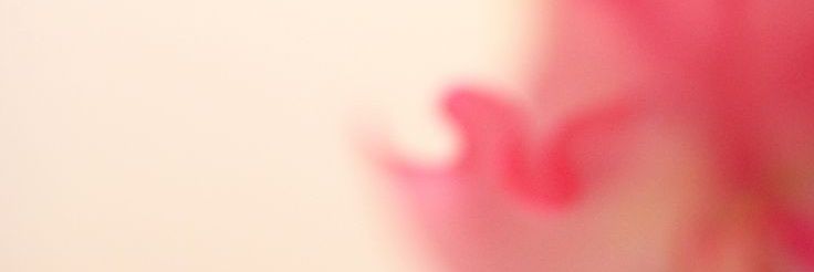 noufays's profile banner image