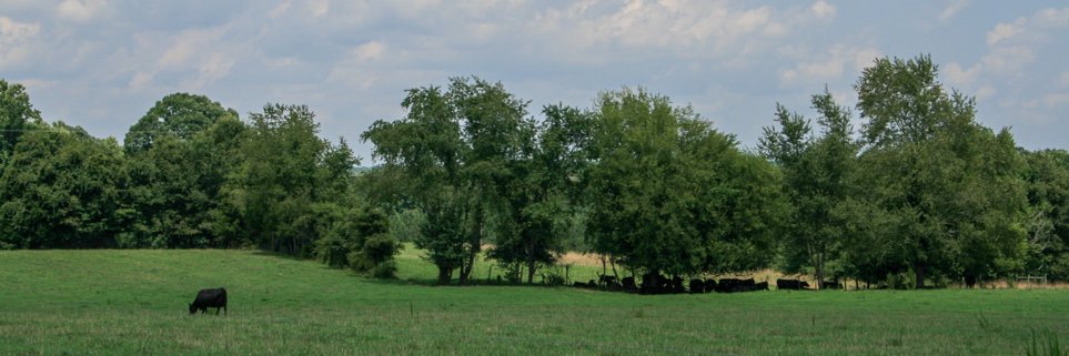 landawareness's profile banner image