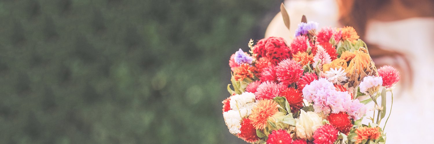 12yayako's profile banner image
